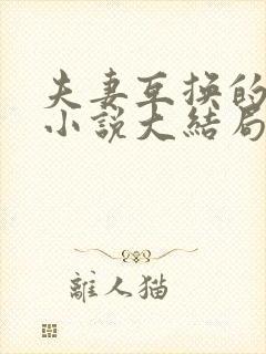 夫妻互换的现言小说大结局