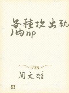 各种攻出轨(h)肉np