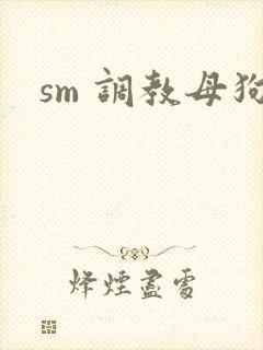 sm 调教母狗