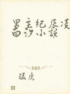 男主纪辰凌女主白汐小说
