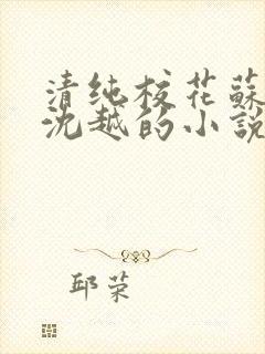 清纯校花苏软和沈越的小说