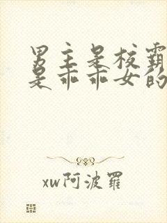 男主是校霸女主是乖乖女的校园宠文