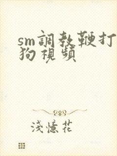 sm调教鞭打母狗视频