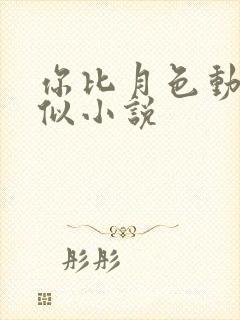 你比月色动人类似小说封面