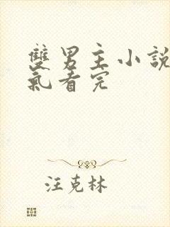 双男主小说一口气看完