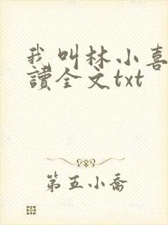 我叫林小喜全阅读全文txt封面