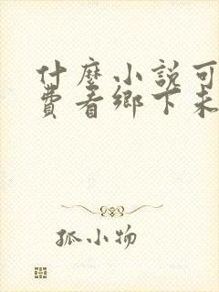 什么小说可以免费看乡下未婚妻竟是真大佬封面