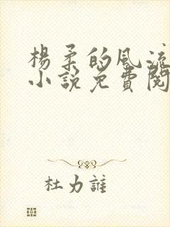 杨柔的风流人生小说免费阅读