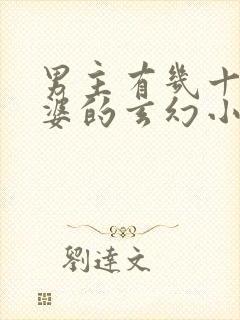 男主有几十个老婆的玄幻小说封面