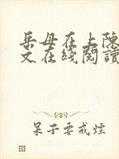 岳母在上陈浩全文在线阅读