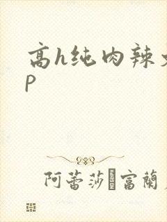 高h纯肉辣文np