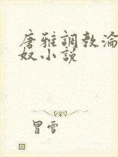 唐雅调教沦为肉奴小说