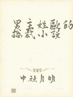 男主姓欧的霸道总裁小说