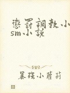 惩罚调教小母狗sm小说