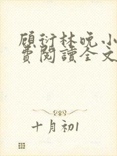 顾衍林晚小说免费阅读全文最新章节更新封面