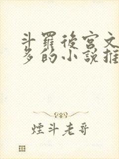 斗罗后宫文女主多的小说推荐