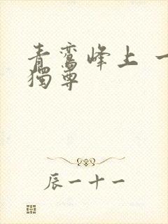 青鸾峰上 一剑独尊