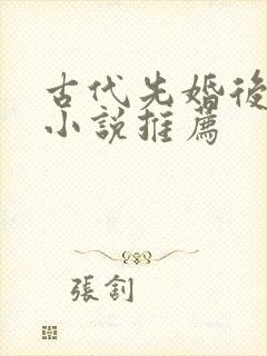 古代先婚后爱的小说推荐封面