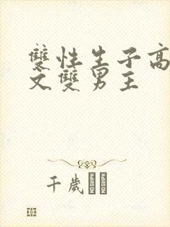 双性生子高辣h文双男主