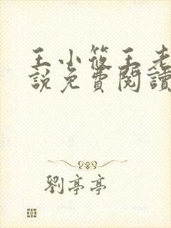 王小筱王老王小说免费阅读最新章节封面