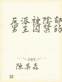 反派被阴郁疯批男主囚禁的小说