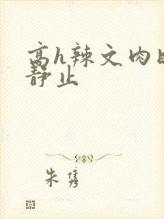 高h辣文肉时间静止