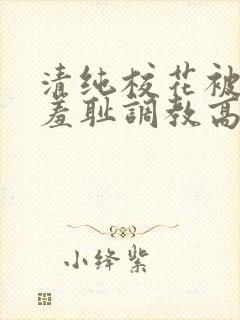 清纯校花被民工羞耻调教高hby留意zzz封面