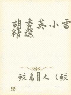 胡秀英小雷小说精选