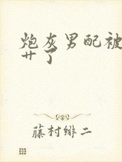 炮灰男配被男主艹了