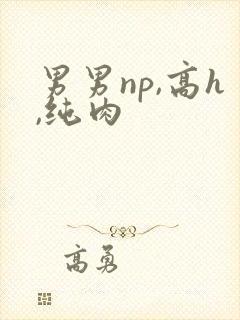 男男np,高h,纯肉