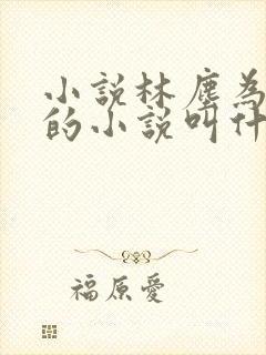 小说林尘为主角的小说叫什么名字