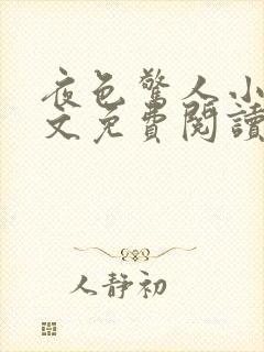 夜色惊人小说全文免费阅读txt完结版封面