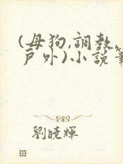 (母狗,调教,户外)小说笔趣阁在线阅