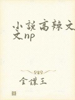 小说高辣文高h文np
