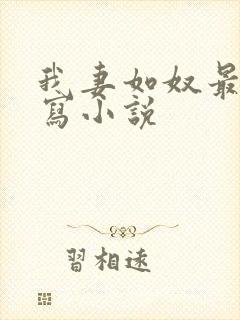 我妻如奴最新续写小说