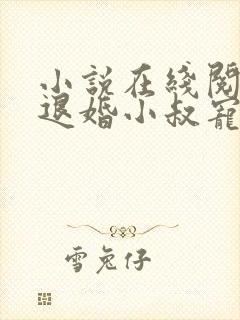 小说在线阅读被退婚小叔宠上天