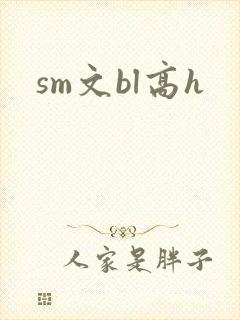 sm文bl高h
