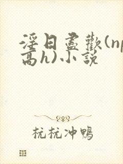 淫日尽欢(np高h)小说