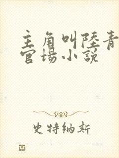 主角叫陆青云的官场小说