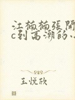 江楠楠张开腿被c到高潮的小说封面