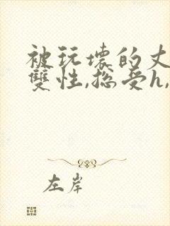 被玩坏的丈夫(双性,总受h,ntr)