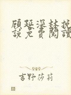 顾延深林挽音小说免费阅读最新章节