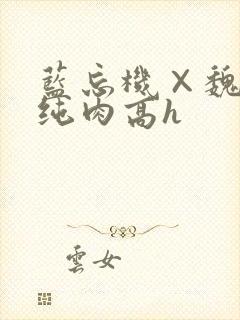 蓝忘机×魏无羡纯肉高h封面