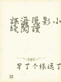 谍海猎影小说在线阅读