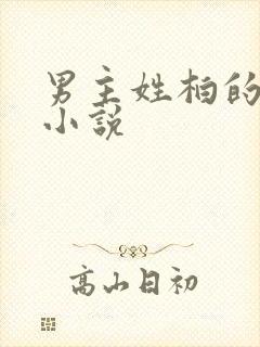 男主姓柏的总裁小说