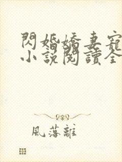 闪婚娇妻宠上天小说阅读全文