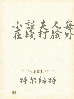 小说夫人每天都在线打脸外传