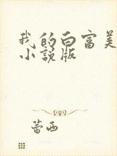 我的白富美老婆小说版封面