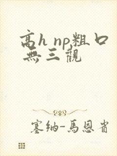 高h np粗口 无三观