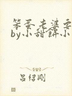 笨蛋老婆要闹了by小甜饼小说免费阅读